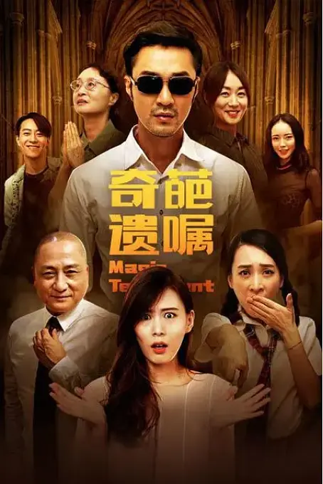 奇葩遗嘱4K高清下载 奇葩遗嘱4K高清下载