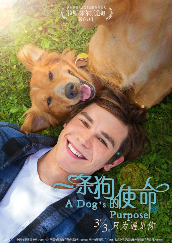 一条狗的使命4K高清下载 一条狗的使命4K高清下载