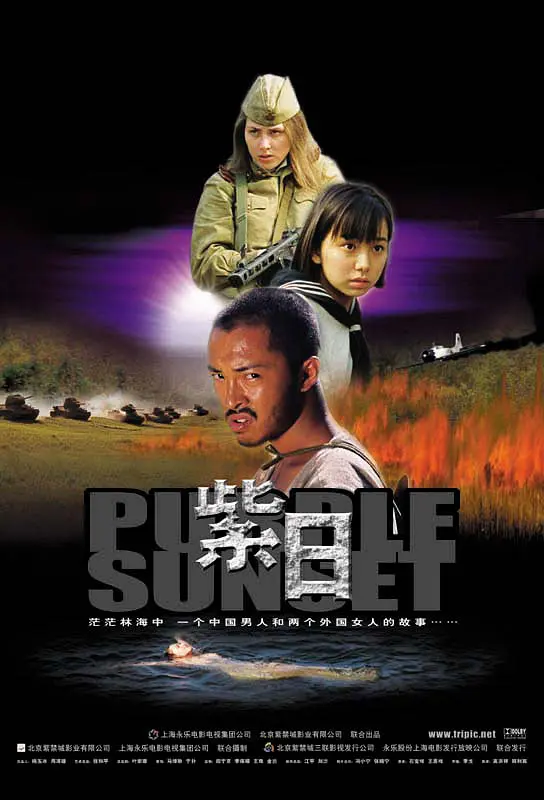 紫日4K电影下载 紫日4K电影下载