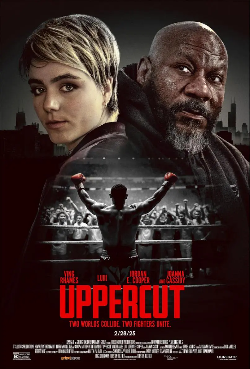上钩拳4K电影下载 上钩拳4K电影下载